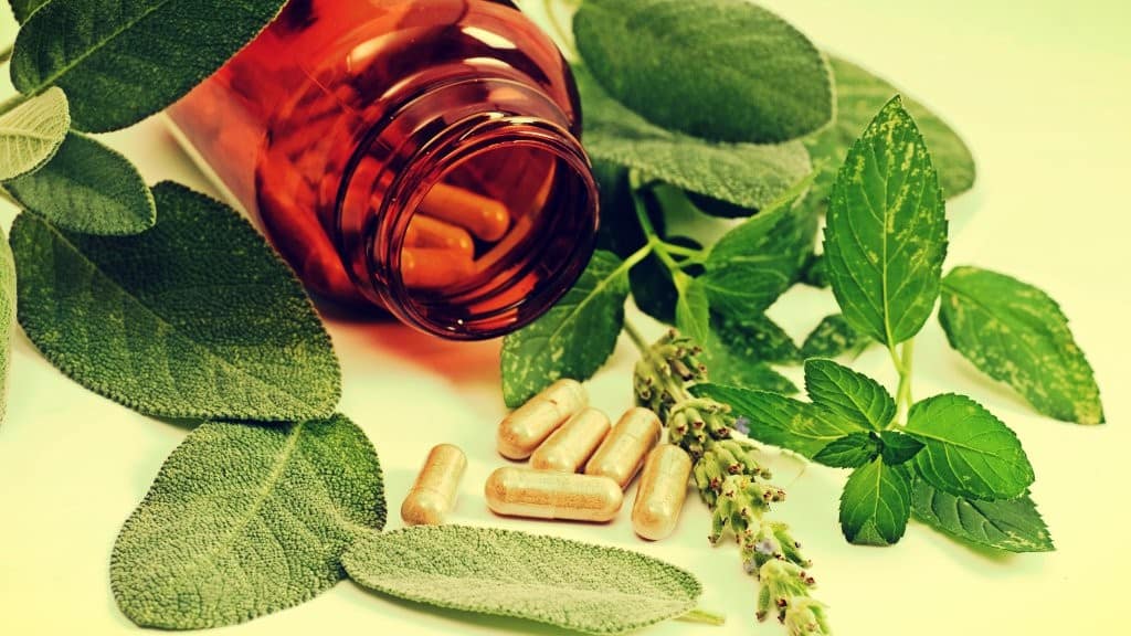 Herbalism: Ancient Tradition, Modern Solution, InfoMistico.com