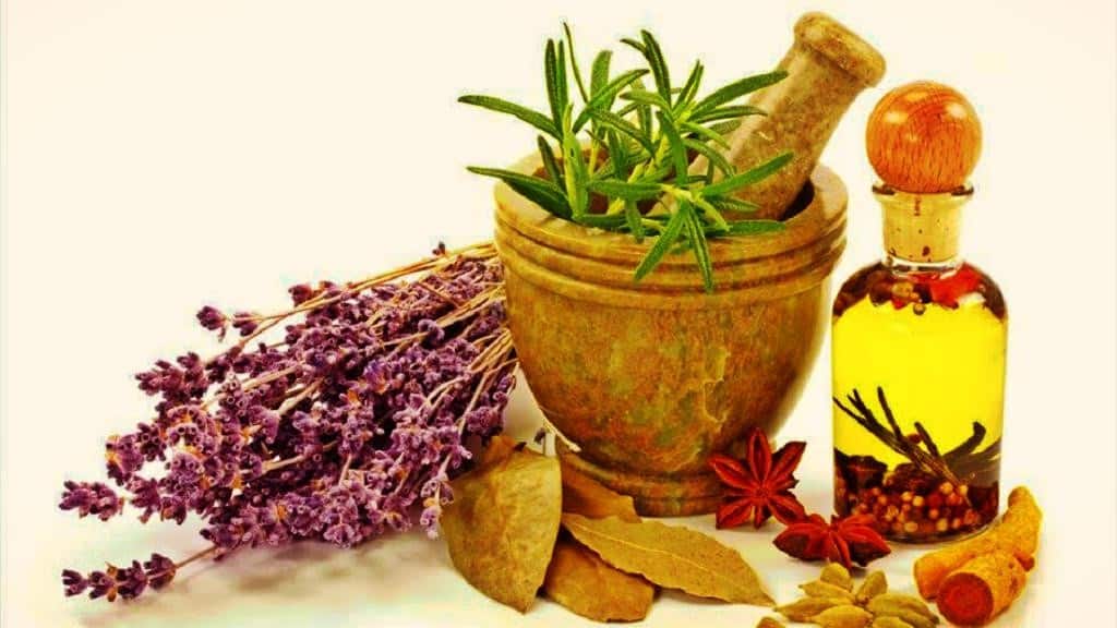 Fitoterapia / Phytotherapy