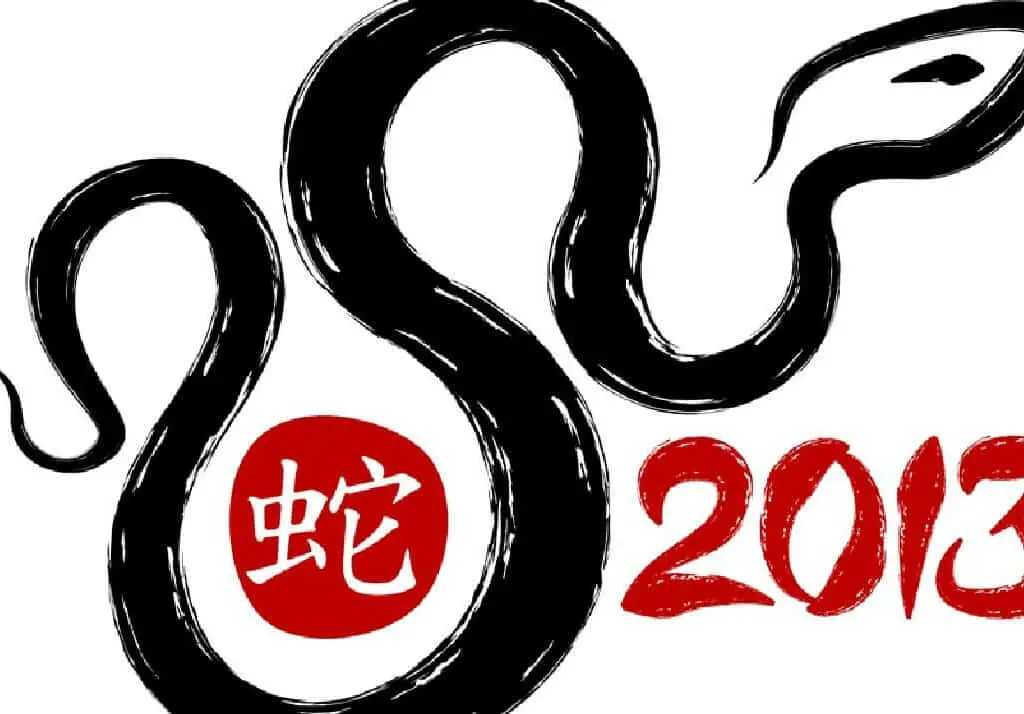 Año de la Serpiente de Agua 2013