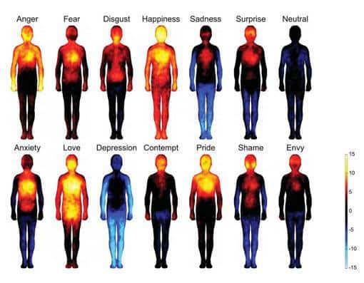 Emociones ¿En que parte del cuerpo se sienten?, InfoMistico.com