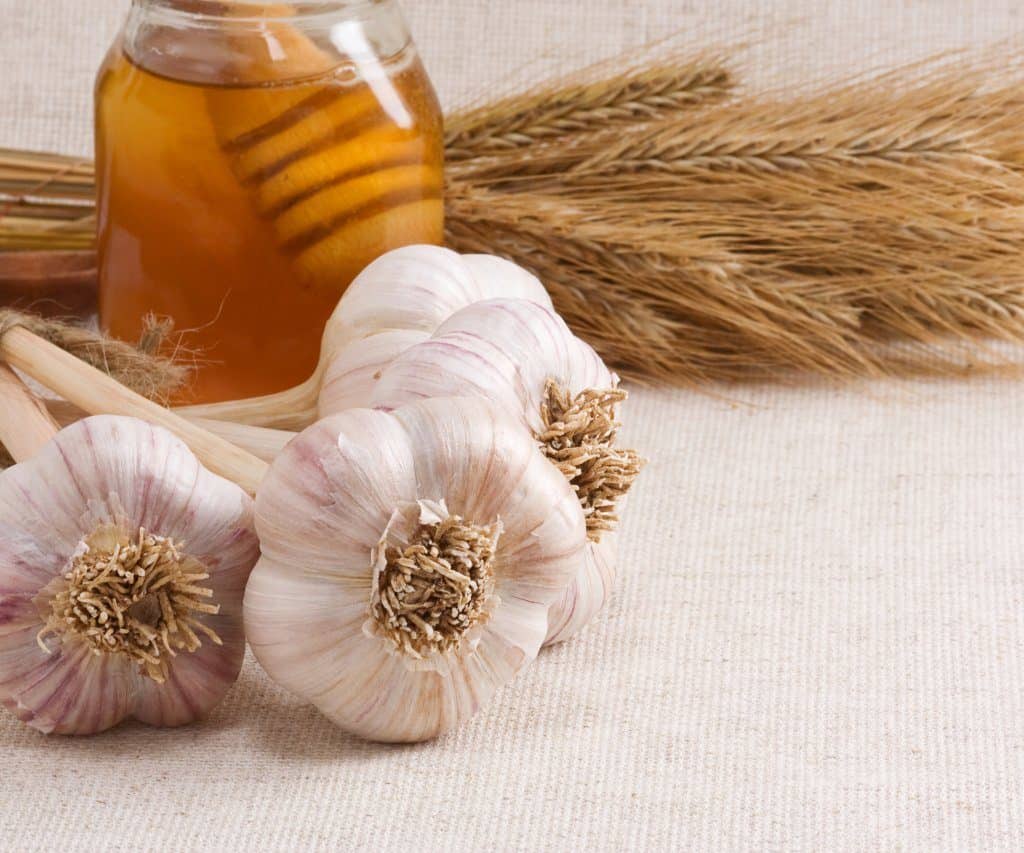 Miel Poderoso Antibiótico Natural / Honey Powerful Natural Antibiotic