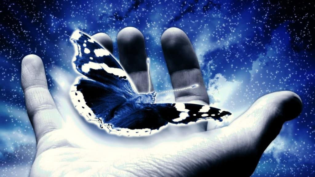 La mariposa azul, InfoMistico.com