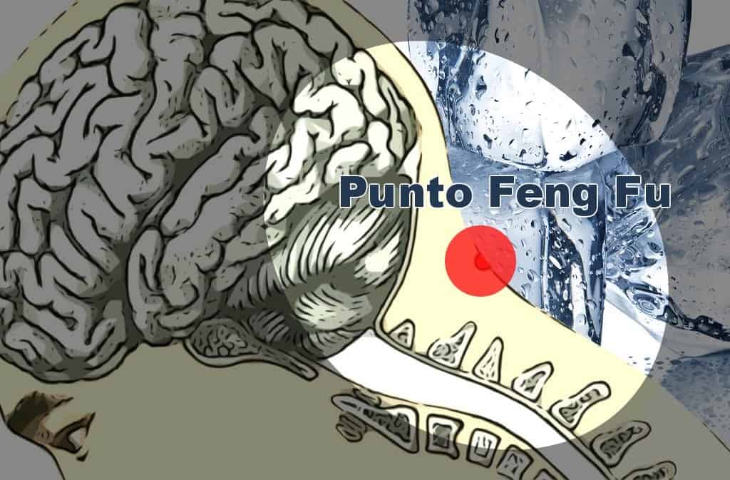 Punto Feng Fu — Terapia con cubo de hielo, InfoMistico.com