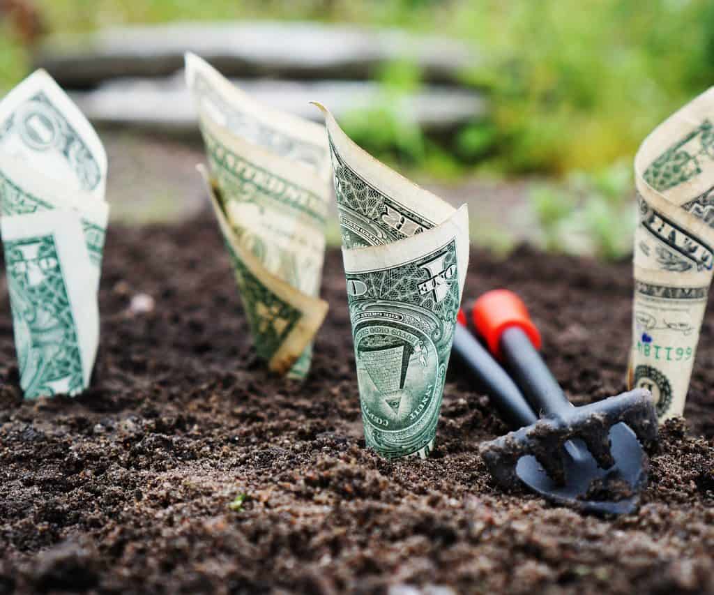 Dinero Feliz - Dinero Semilla / Planting Prosperity: The Theory of Seed Money