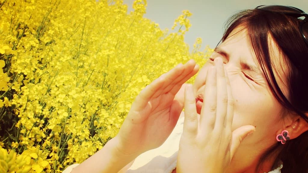 Remedios para alergias de primavera, InfoMistico.com