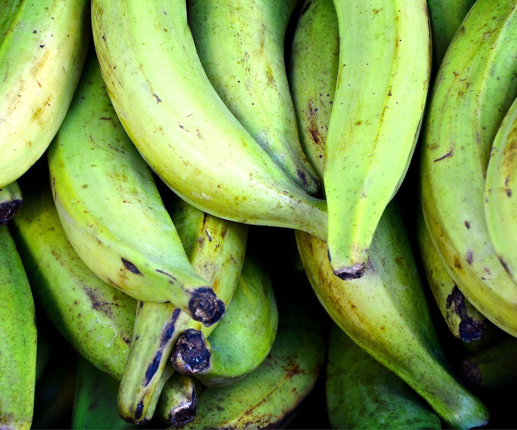 Beneficios del plátano, InfoMistico.com