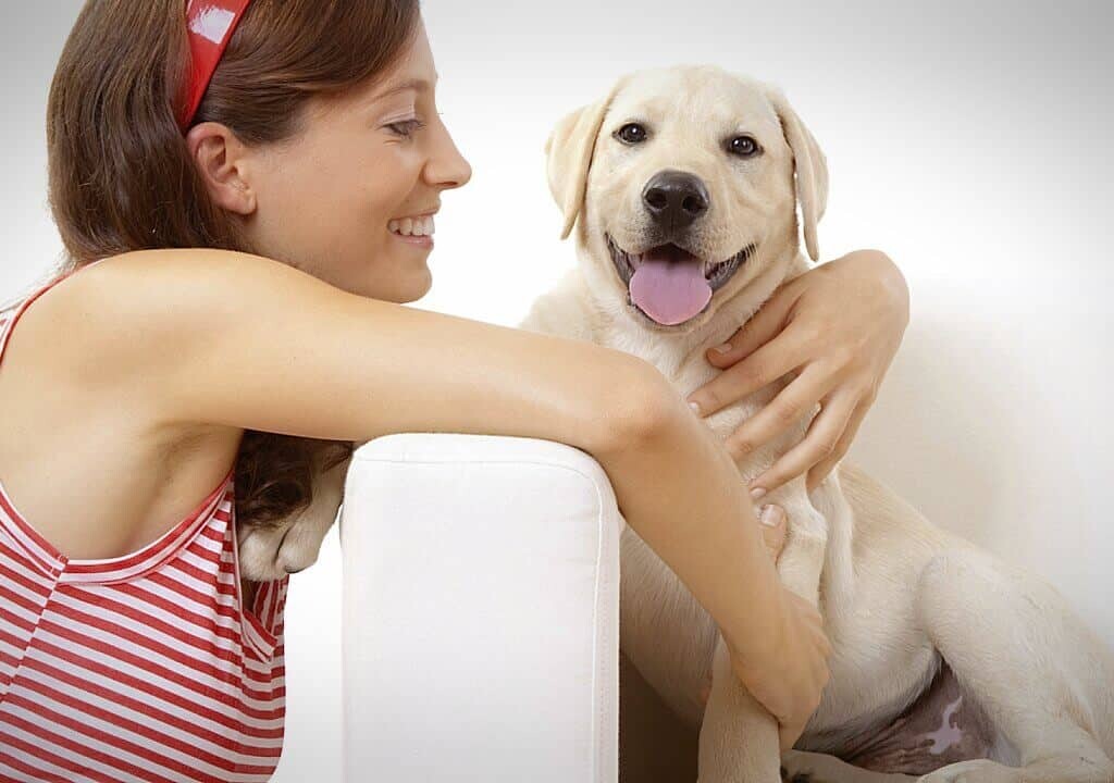 Dogs can smell if a person is good, InfoMistico.com