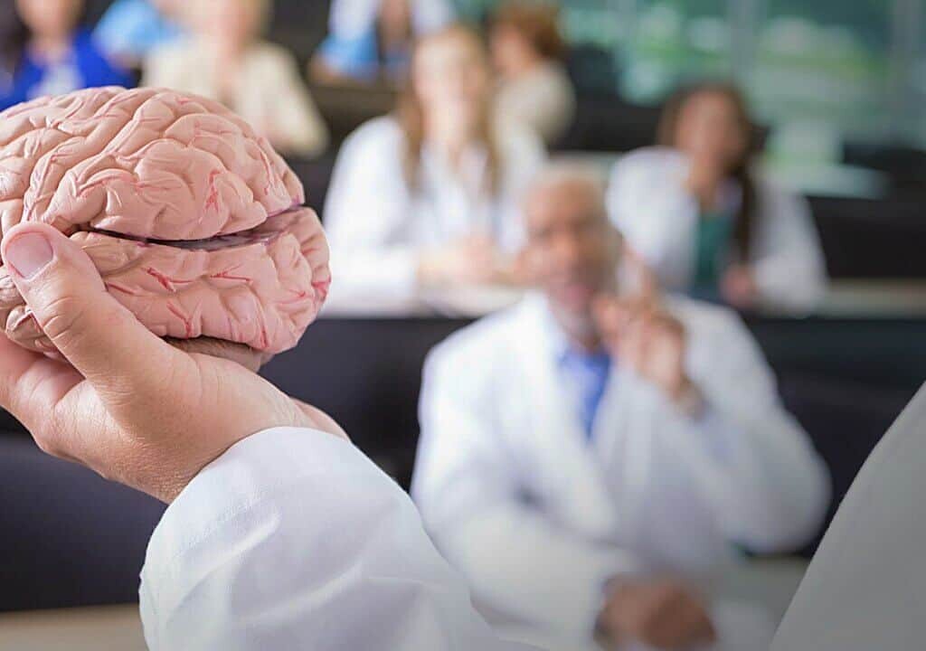 El cerebro del hombre pesa más, pero…, InfoMistico.com