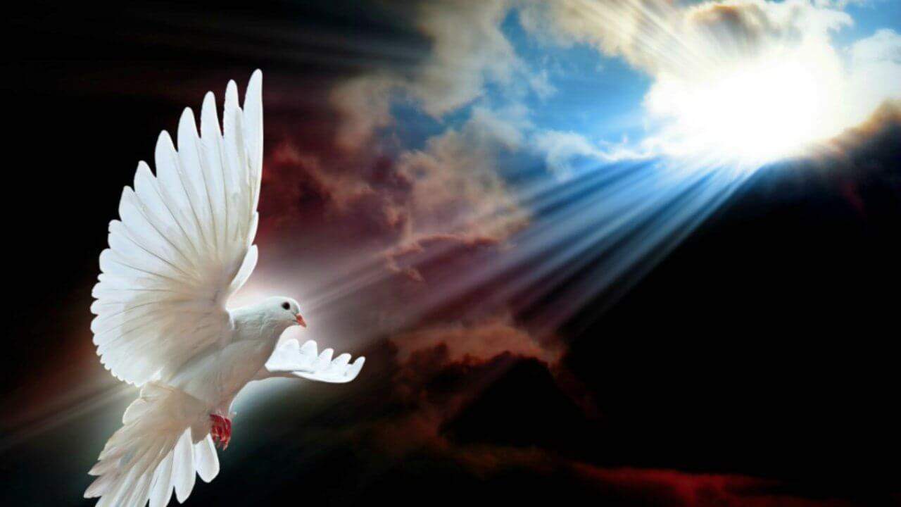 ¿Por qué se representa con una paloma el Espíritu Santo?, InfoMistico.com