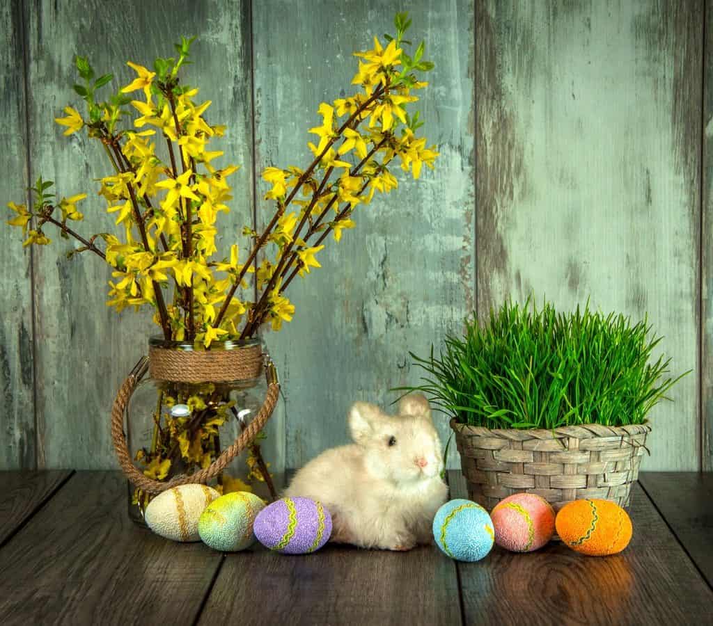 Por qué se pintan los Huevos de Pascua