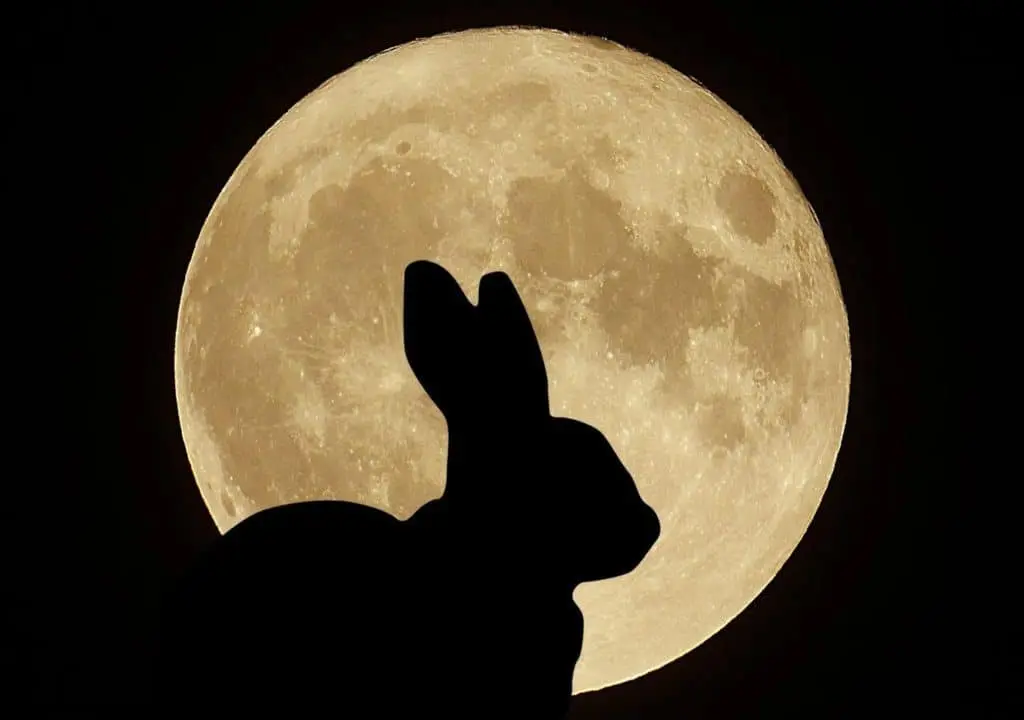 Luna Llena de Pascua: significado, tradición y celebración, InfoMistico.com
