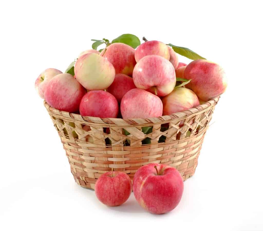 Las manzanas pueden ser laxantes o astringentes, InfoMistico.com