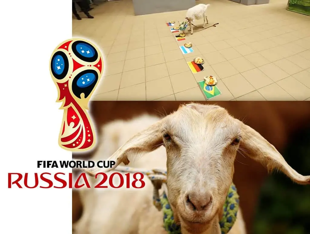Cabra Zabiyaka y sus predicciones Mundial Rusia 2018