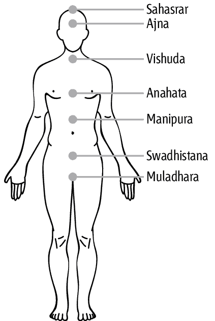 7 chakras rigen la mente y el flujo de energía del cuerpo humano, InfoMistico.com