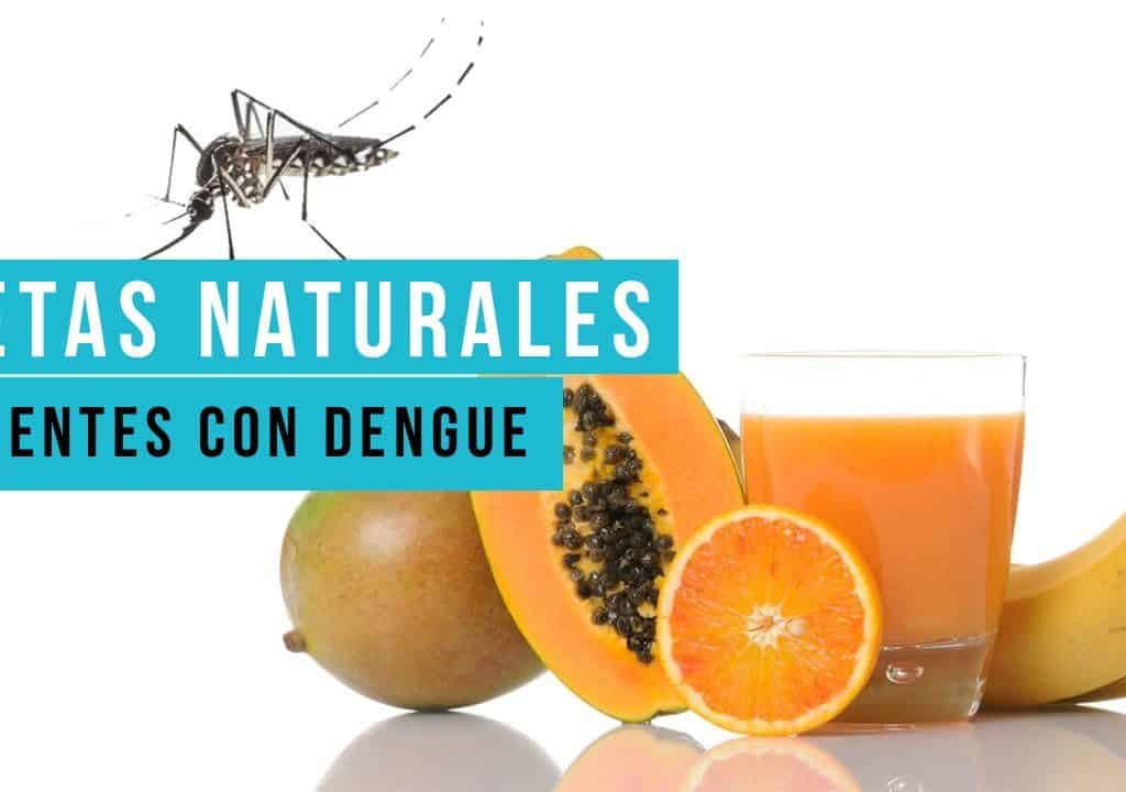 Dietas Naturales para los pacientes con dengue