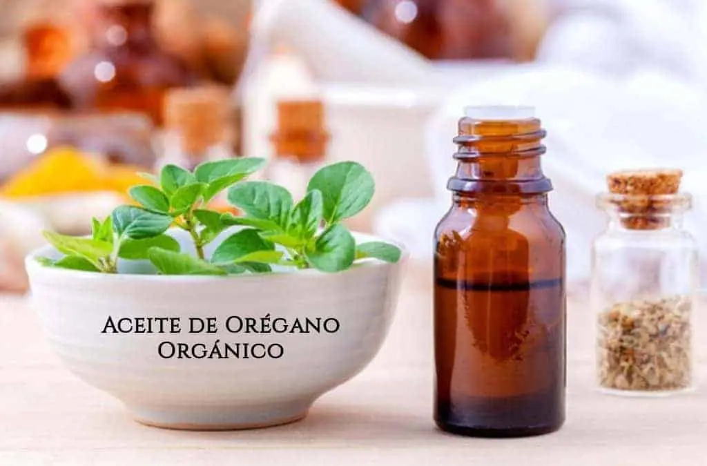 Aceite de Orégano, InfoMistico.com