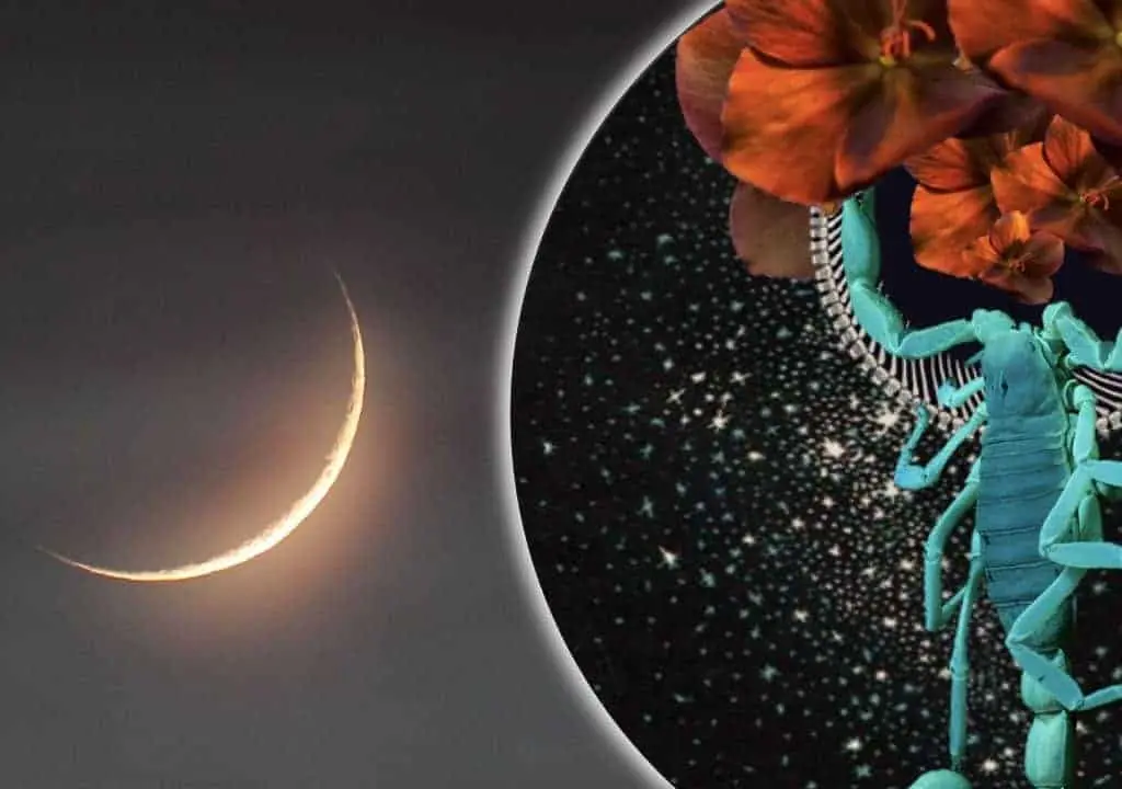 28 Octubre 2019 – Luna Nueva e inicio de Mercurio Retrógrado, InfoMistico.com