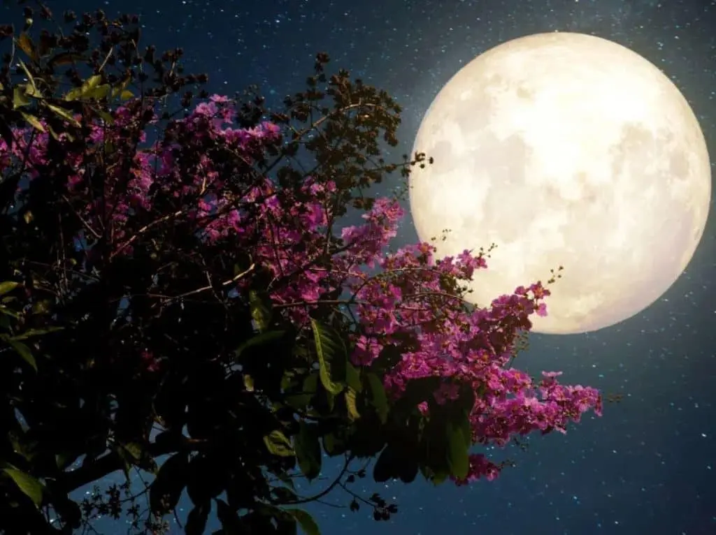 Superluna Llena en Libra — 7 y 8 de Abril 2020, InfoMistico.com