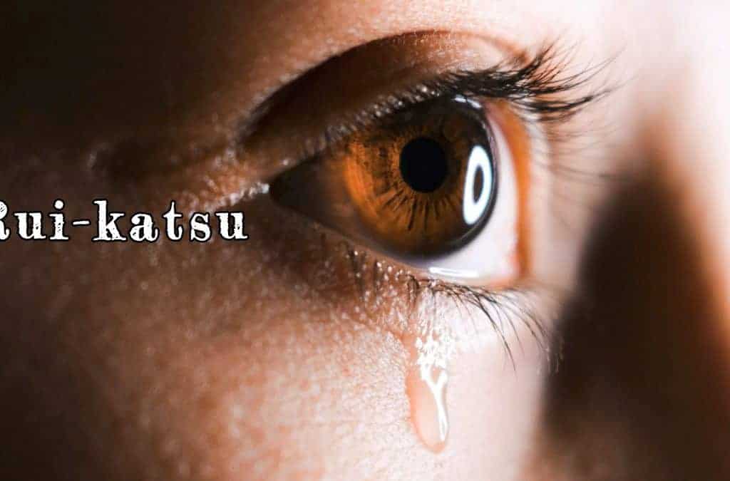 Rui-katsu — Búsqueda de lágrimas, InfoMistico.com