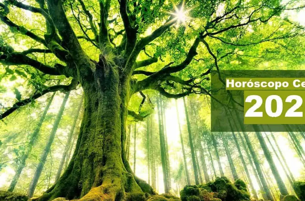 Horóscopo Celta 2021, InfoMistico.com