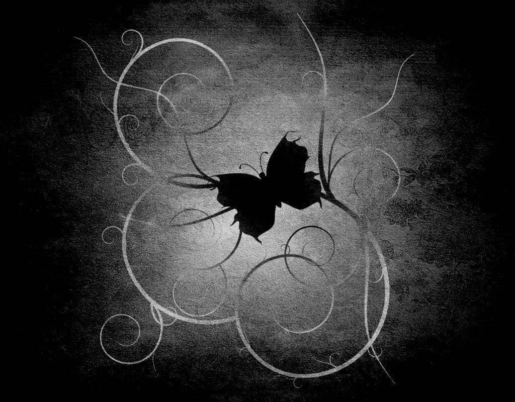 Mariposas negras significado espiritual, InfoMistico.com