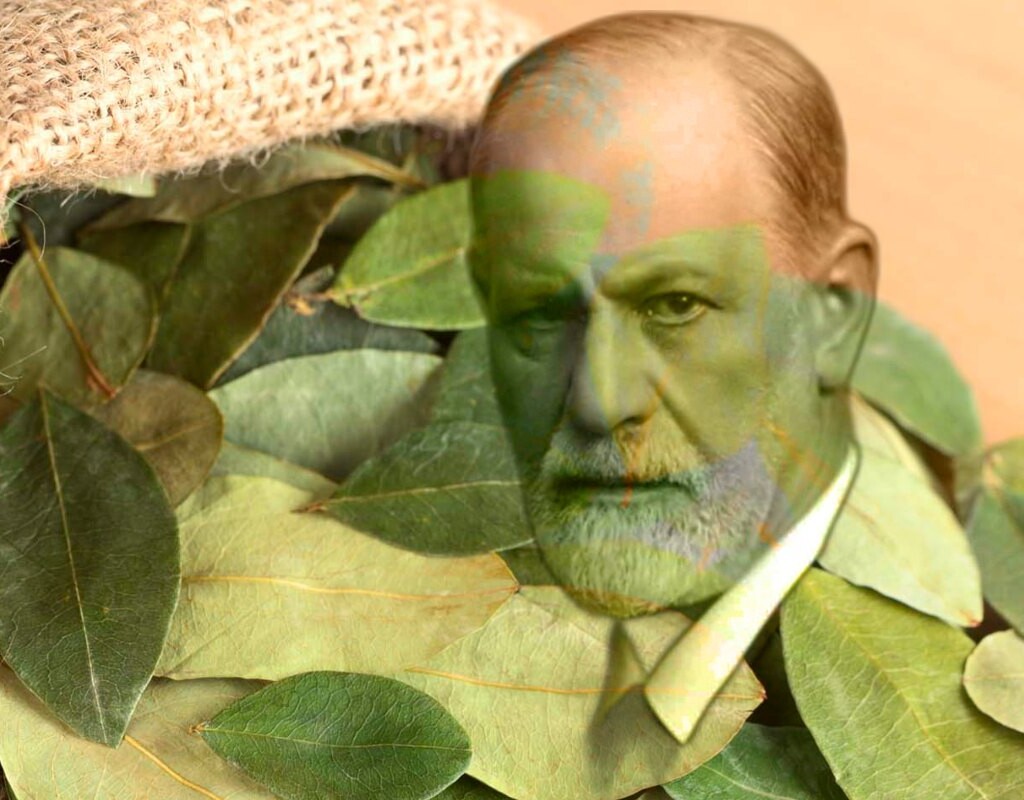 Sigmund Freud and coca leaves as therapy, InfoMistico.com