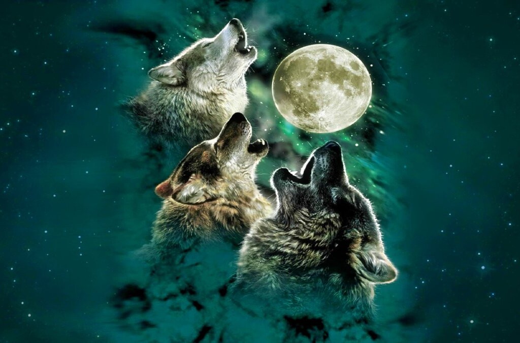 The Wolf Moon Rises