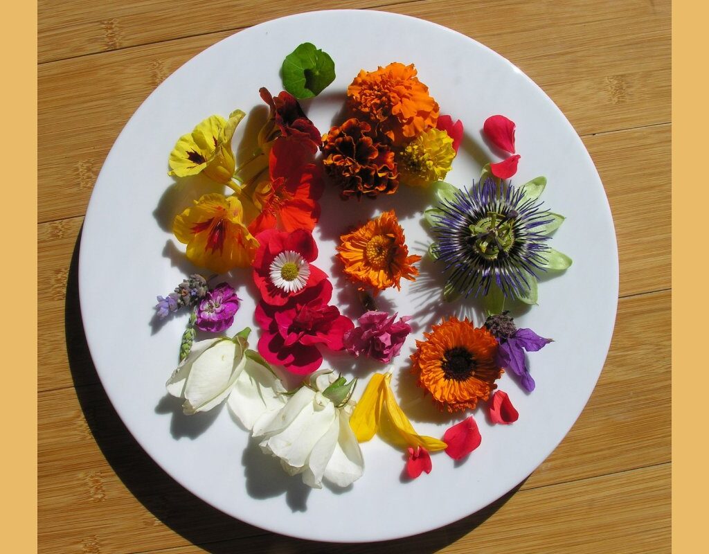 Flores Comestibles / Edible Flowers for Gastronomy