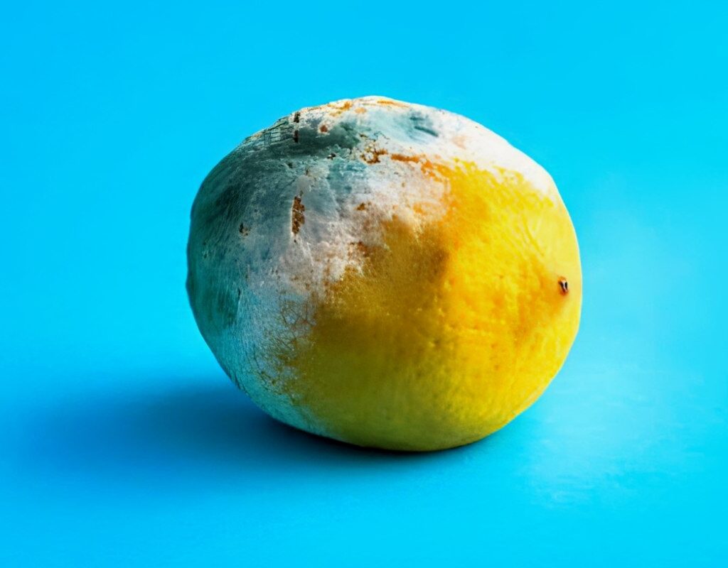 Limones Podridos / Rotten Lemons
